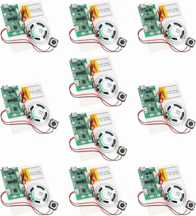 10PCS Programmable Sound Recorder Module - DIY Music Voice Recording Module Chip with Speaker, Can Recording 16 Minutes Sound Music for Personalized Greetings, Holiday Crafts Cards audio interface,USB interface,music recording input,