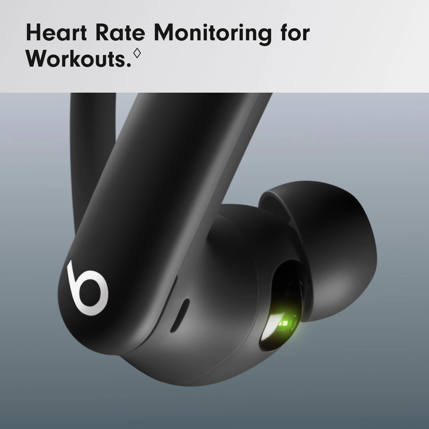 Beats Powerbeats Pro 2 Wireless Bluetooth Earbuds with AppleCare  (2 years) - Jet Black