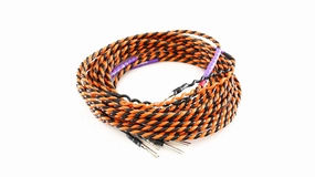Belden 9497 Audiophile Speaker Cables for Your Hi Fi Stereo System - Natural Musical Sound (6 Feet) speaker cable,audio wire,hi-fi speaker cord,