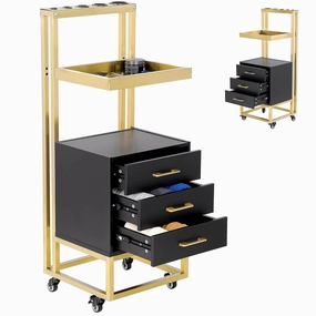 Black Gold Salon Stations for Hair Stylist,Salon Trolley Cart with Wheels, Hair Cabinet with Dryer Holder & Drawer, Hairdressing Tools Organizer Equipment for Barber Beauty SPA (Black Gold) equipment cabinet,AV gear cabinet,component enclosure,