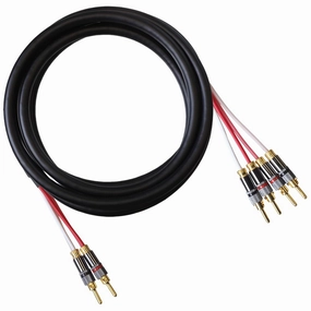 Blue Jeans Cable Canare 4S11 Speaker Cable, with Ultrasonically-Welded Bi-Wire Terminations (One Cable - for one Speaker); Assembled in The USA (10 Foot, Two Bananas to Four Bananas, Black) speaker cable,audio wire,hi-fi speaker cord,