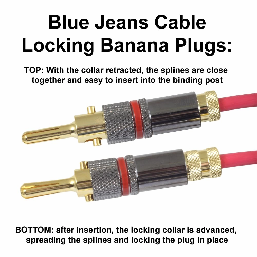 Blue Jeans Cable Canare 4S11 Speaker Cable, with Ultrasonically-Welded Bi-Wire Terminations (One Cable - for one Speaker); Assembled in The USA (10 Foot, Two Bananas to Four Bananas, Black)
