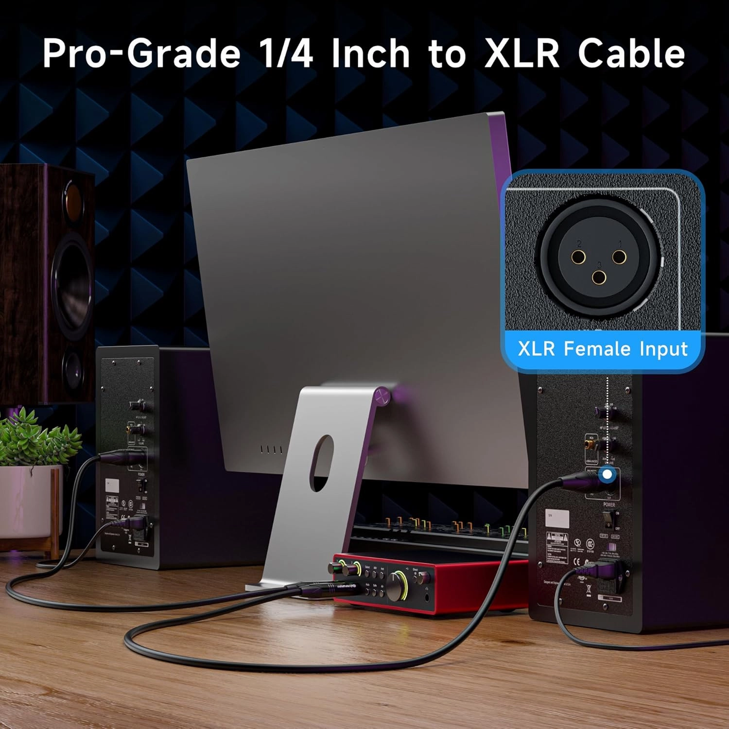 Cable Matters 6.35mm (1/4 Inch) Long TRS to XLR Cable - 50ft, Male to Male XLR to TRS Cable, Black  Not for Microphone Use