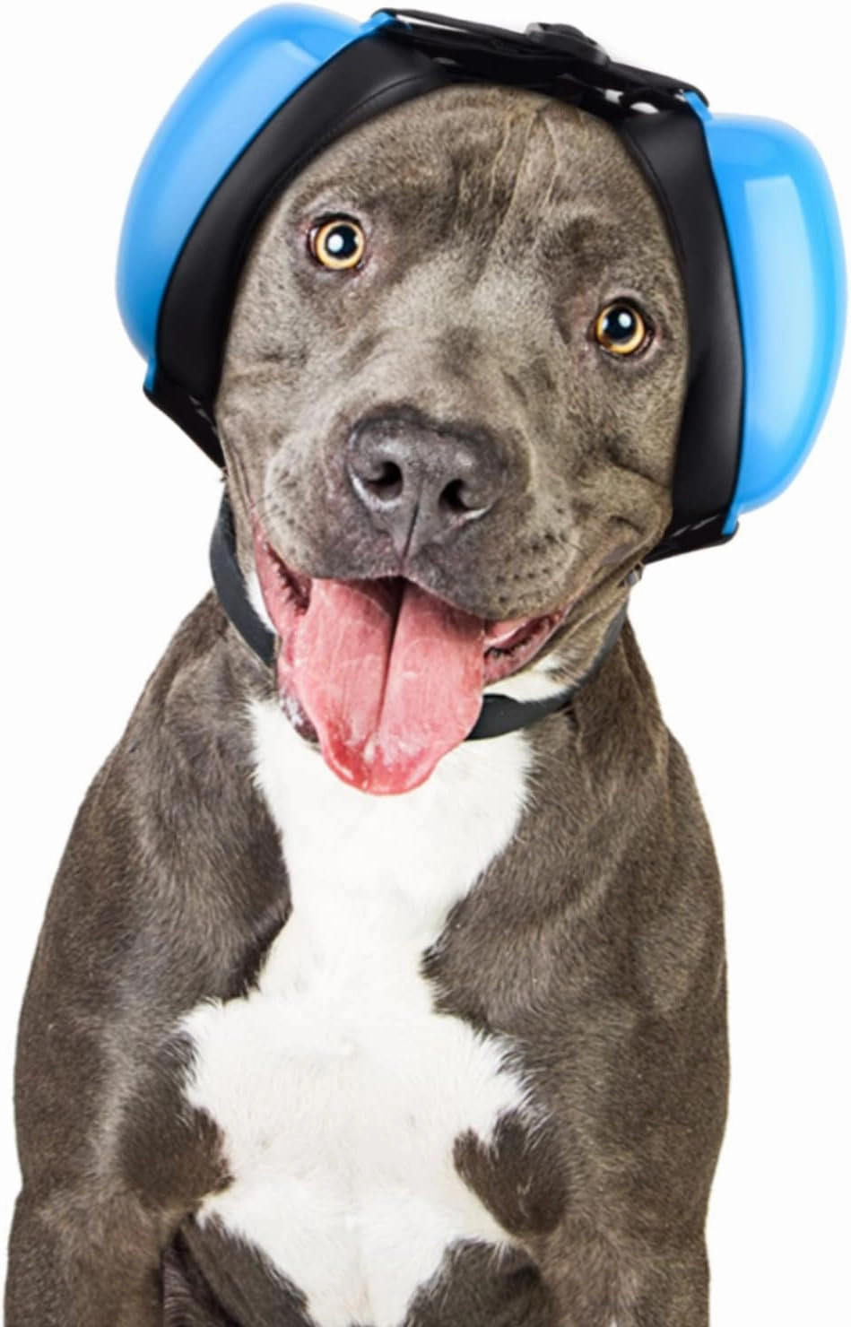 Dog Ear Muffs for Noise Protection, Noise Cancelling Headphones, 25dB NRR, Dog Ear Plugs for Hearing Protection from Thunder, Fireworks, Vacuums (S, Blue) noise cancelling headphones,ANC headphones,travel headphones,