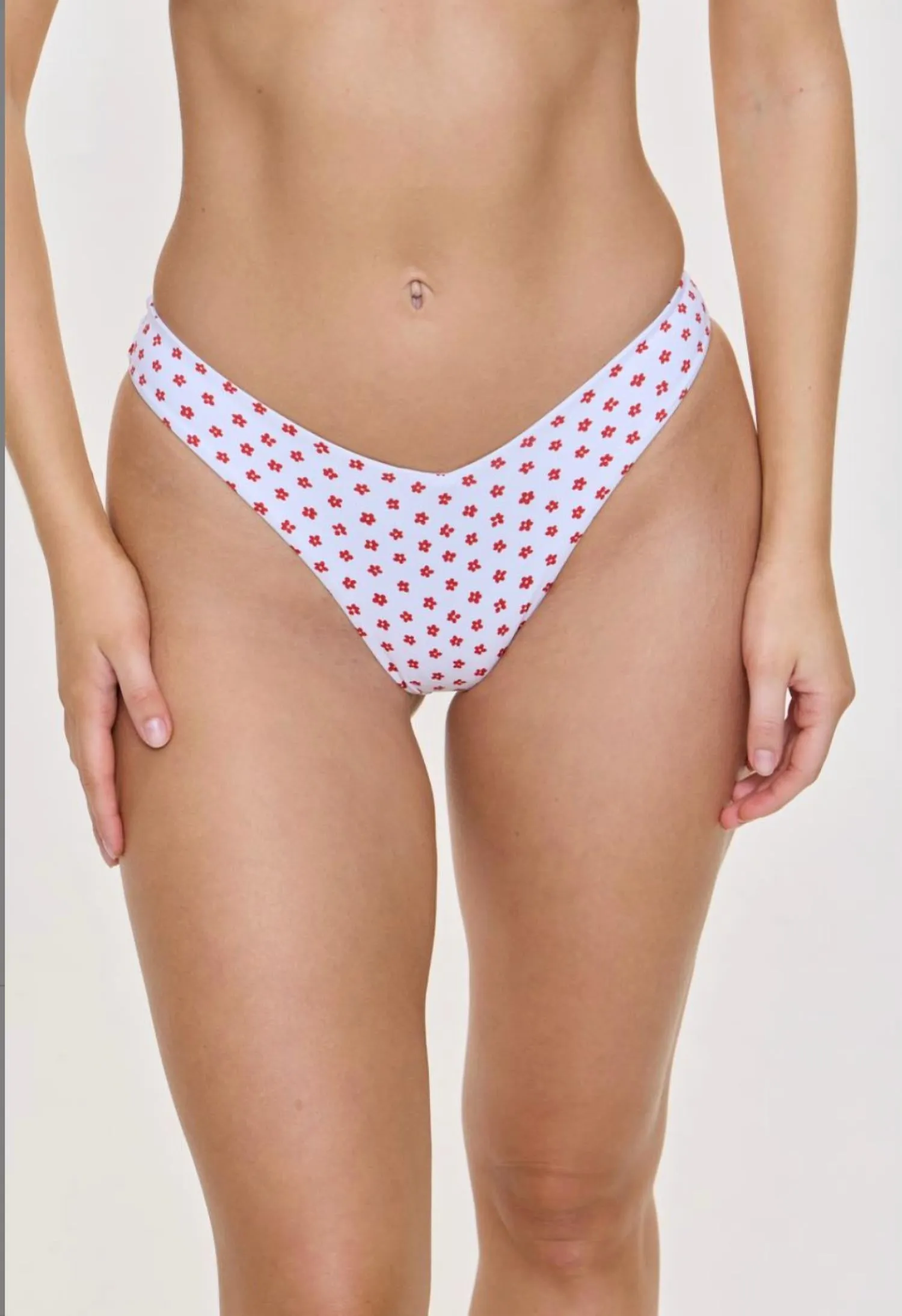 Enzo Cheeky Bikini Bottom In Daisy Dot Print