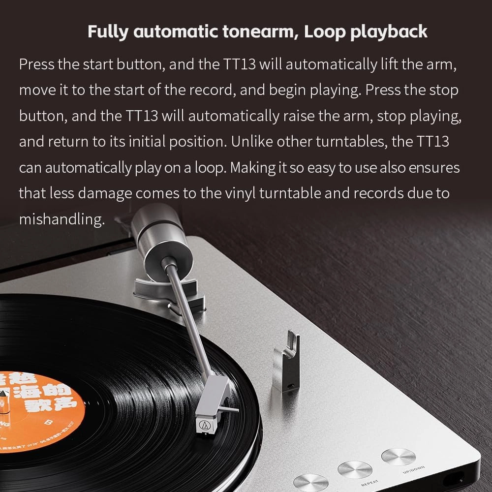 FiiO TT13 Fully Automatic Vinyl Stereo Turntable(Analog), Powerful Phono preamp, Dust Cover, Die-cast Aluminum Platter (TT13 Silver Standard)