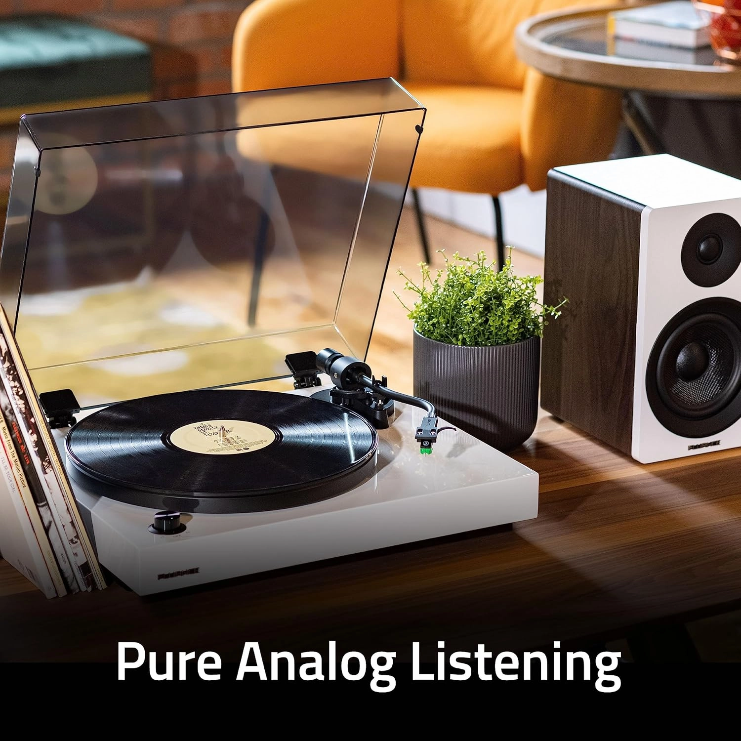 Fluance RT81  Elite HiFi Vinyl Turntable (Walnut) and Ai41 Powered Bookshelf Speakers (White Walnut) Bundle: High Fidelity Sound, Integrated Amplifier, Audio Technica Cartridge