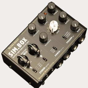 Guitar Effect Pedal Amplifier Simulation for Electric Guitar - All - analog Guitar Amp Speaker Simulator Pedal (Black) tube amplifier,valve amp,audiophile tube stereo,