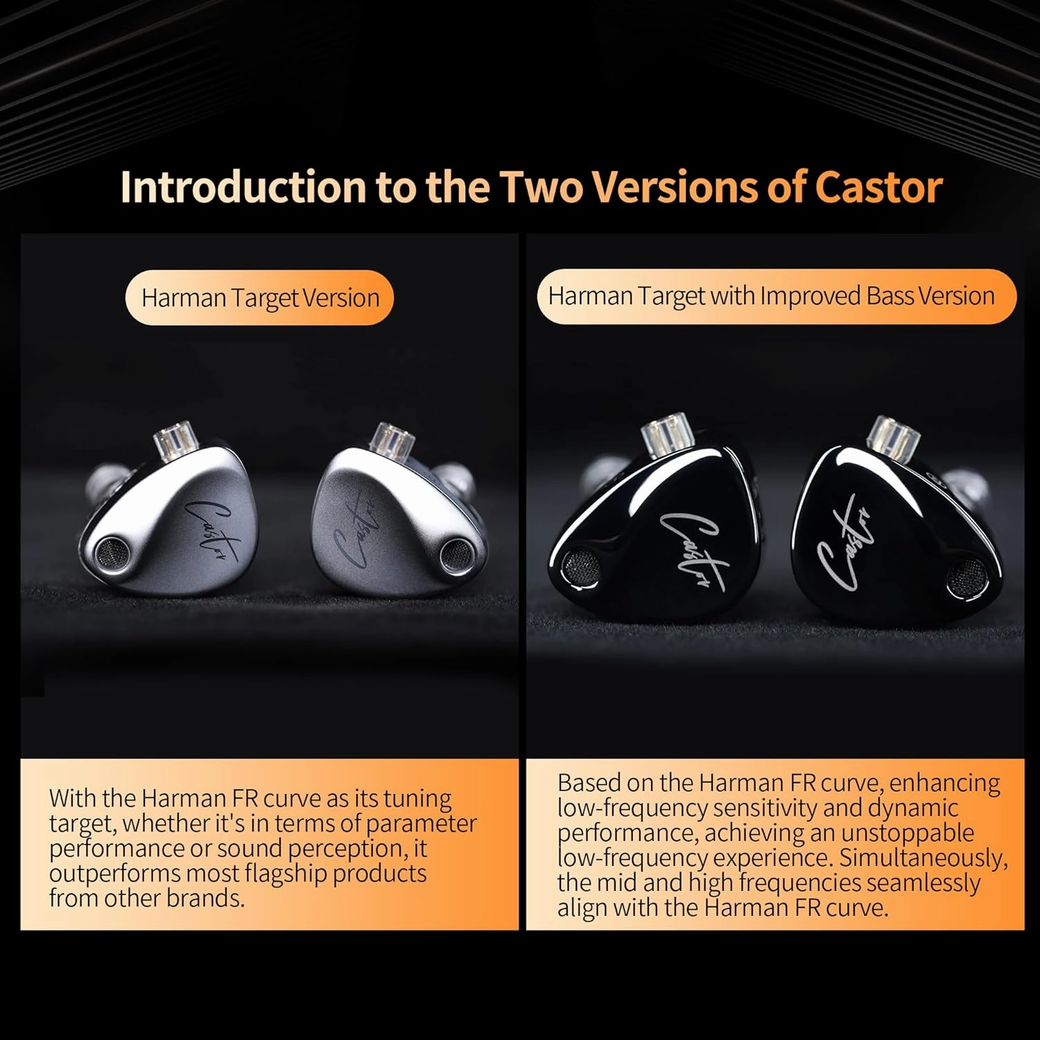 KZ Castor in Ear Monitor, Harman Edition IEM with Dual Dynamic Drivers, Tunable in Ear Headphones Gaming Earbuds with Adjusting Switch, Noise-isolating, Silicone Tips (Standard Version, Without Mic)