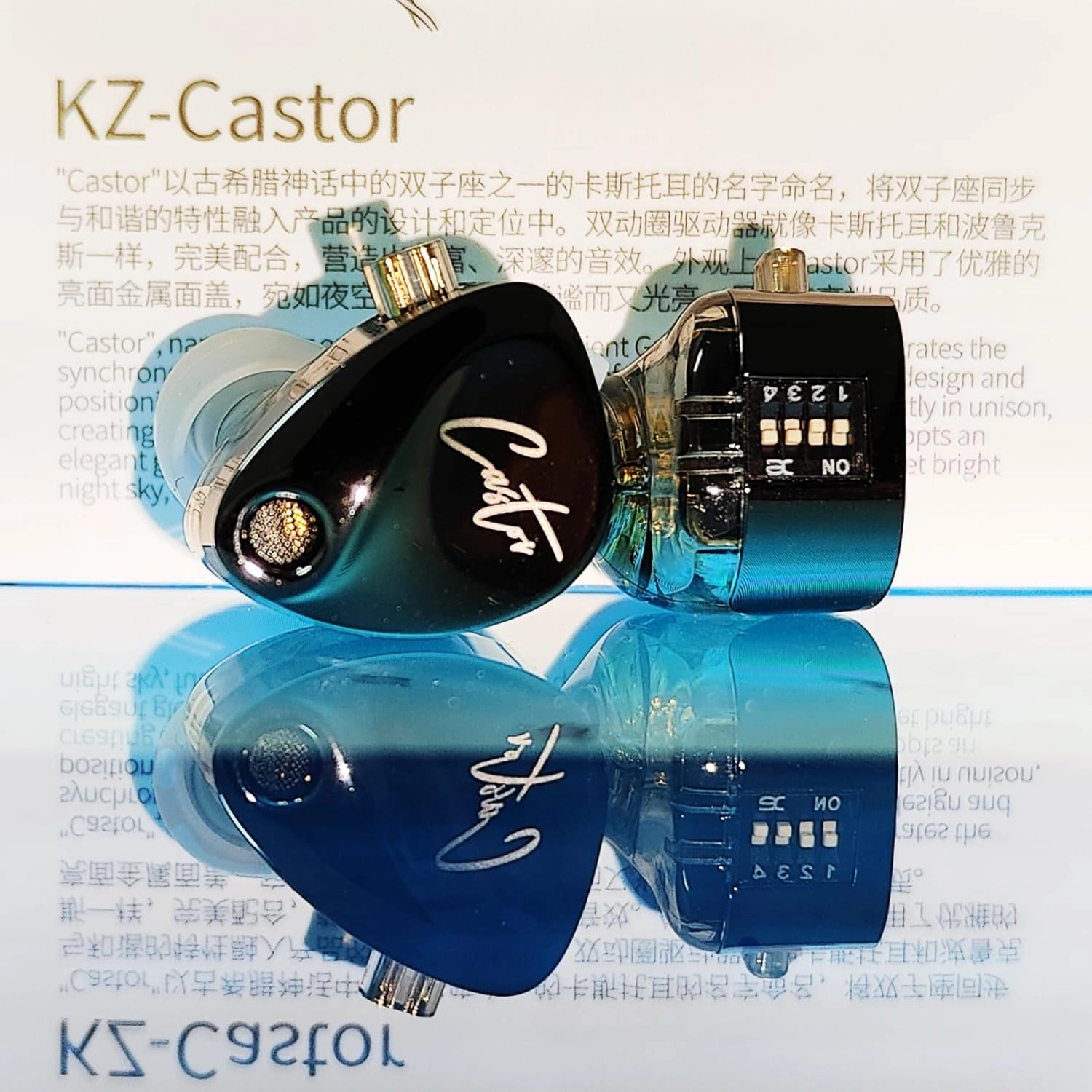 KZ Castor in Ear Monitor Headphones with Mic, HiFi Improved Bass Earphone Sound Tunable Noise Isolating IEMs, Dual-Dynamic Driver Wired Earbuds, 2PIN-C Detachable Cable for Singers Musicians