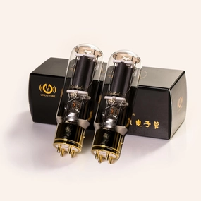 LINLAI 845 1 Pair Matching Power Vacuum Tube HIFI Audio tube amplifier,valve amp,audiophile tube stereo,