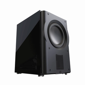 PERLISTEN Audio R210s Subwoofer Subwoofers,Low-frequency Drivers,Bass Bins
