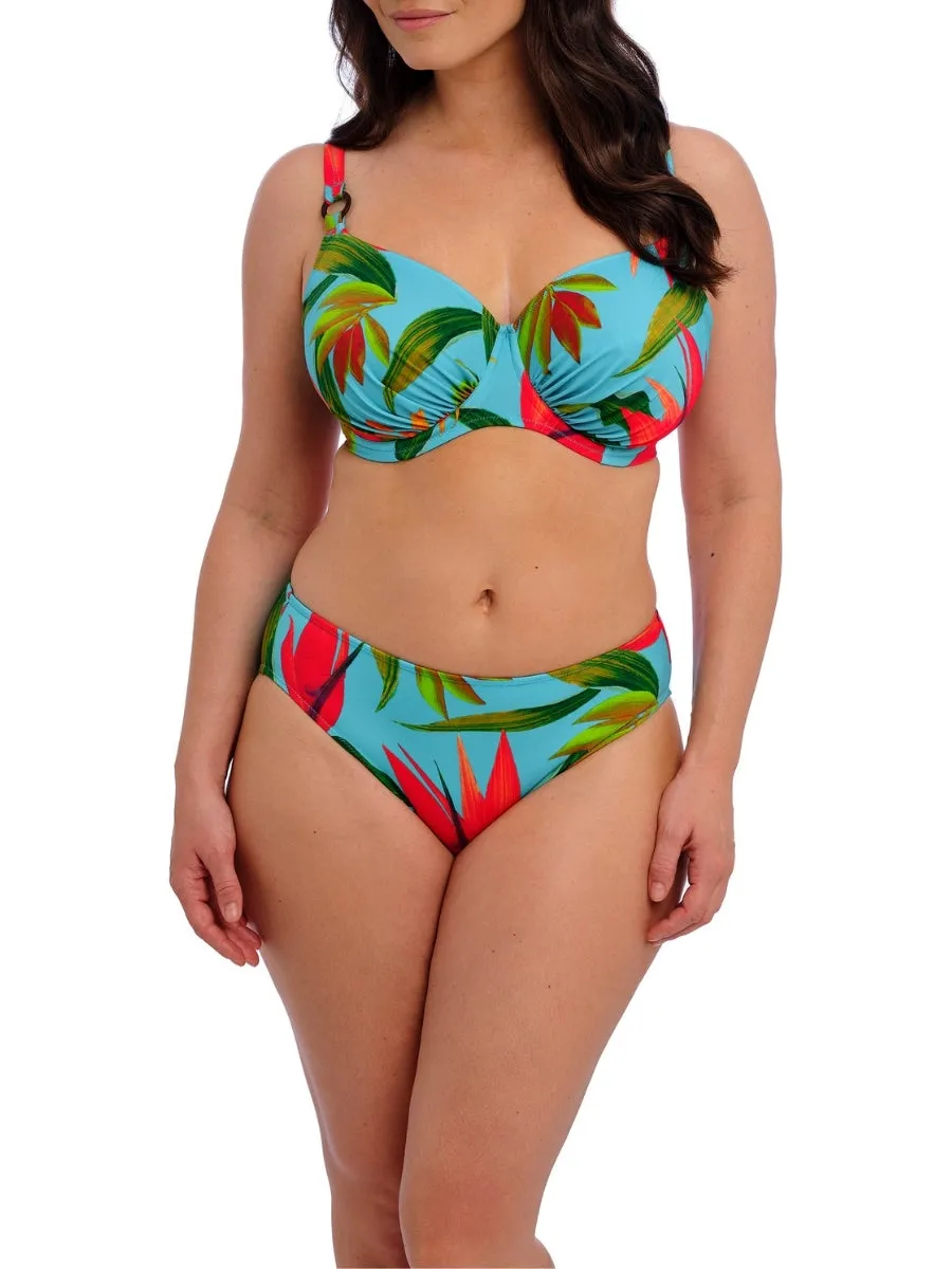 Pichola Bikini Brief