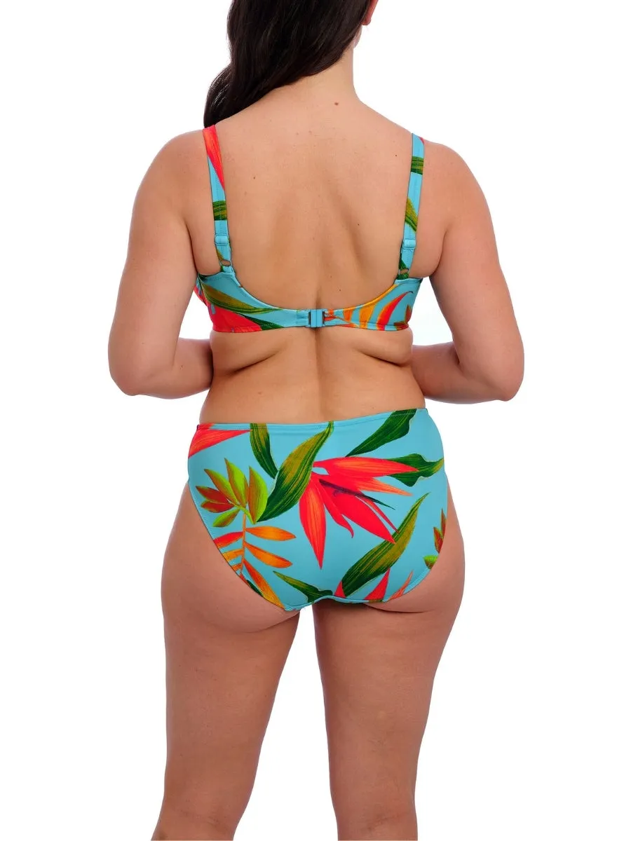 Pichola Bikini Brief