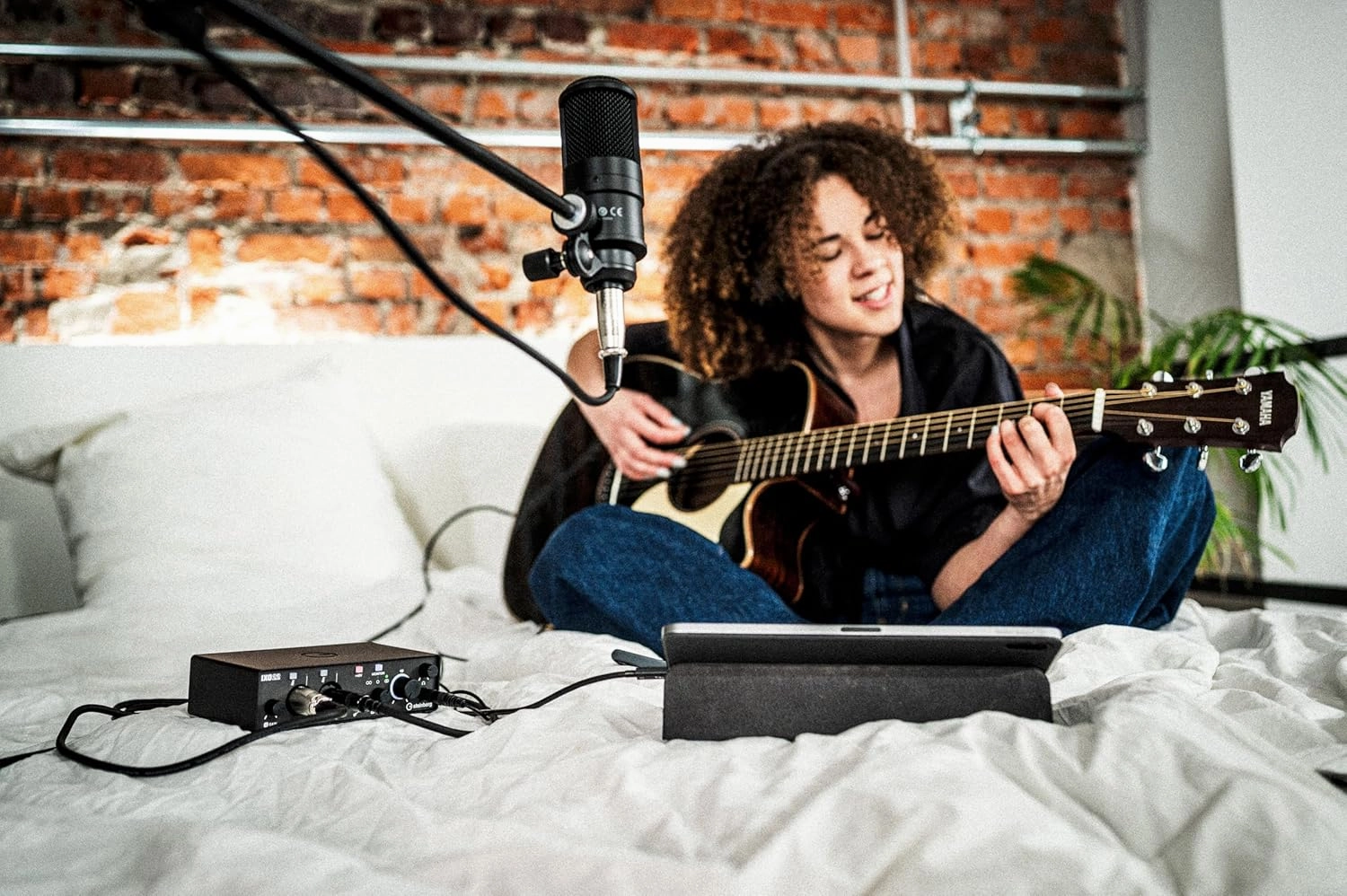 Steinberg Recording Pack With IXO22 Audio Interface, Studio Condenser Mic, Monitor Headphones, Cubase AI, Cubasis LE, WaveLab LE and Steinberg Plus Software