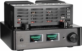 Tube Amplifier, Tube Amplifier Home Audio, Stereo Vacuum Tube Amplifier, with Bluetooth 5.0, Treble Bass Control, Subwoofer Output, Headphone Output, with Record Player Phono Preamp and USB DAC integrated amplifier,stereo receiver,hi-fi amp combo,